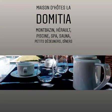 La Domitia - Maison D'hôtes, Spa&sauna * Montbazin
